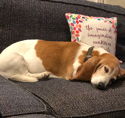 Chandler relaxing