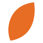 Leaf Orange