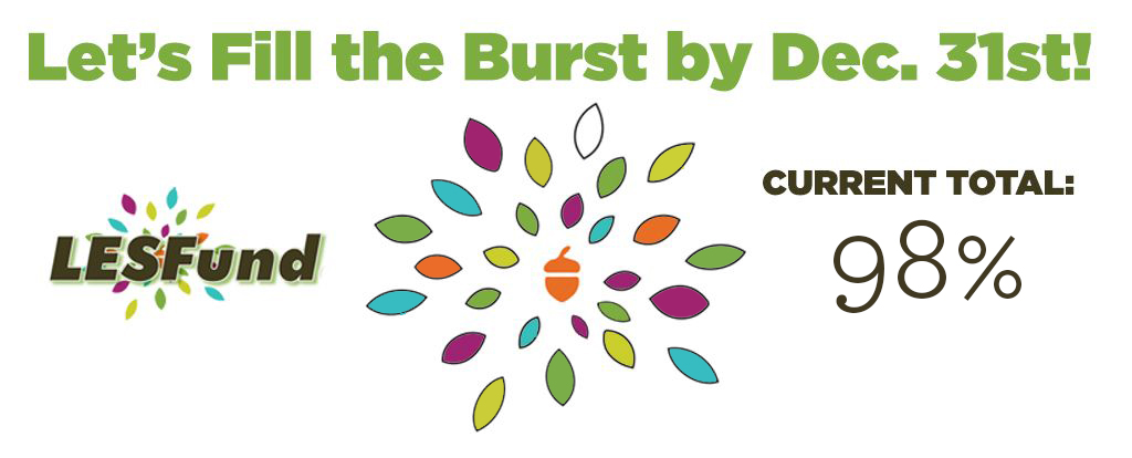 fill the burst graphic at 98%
