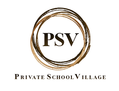 Private School Village logo