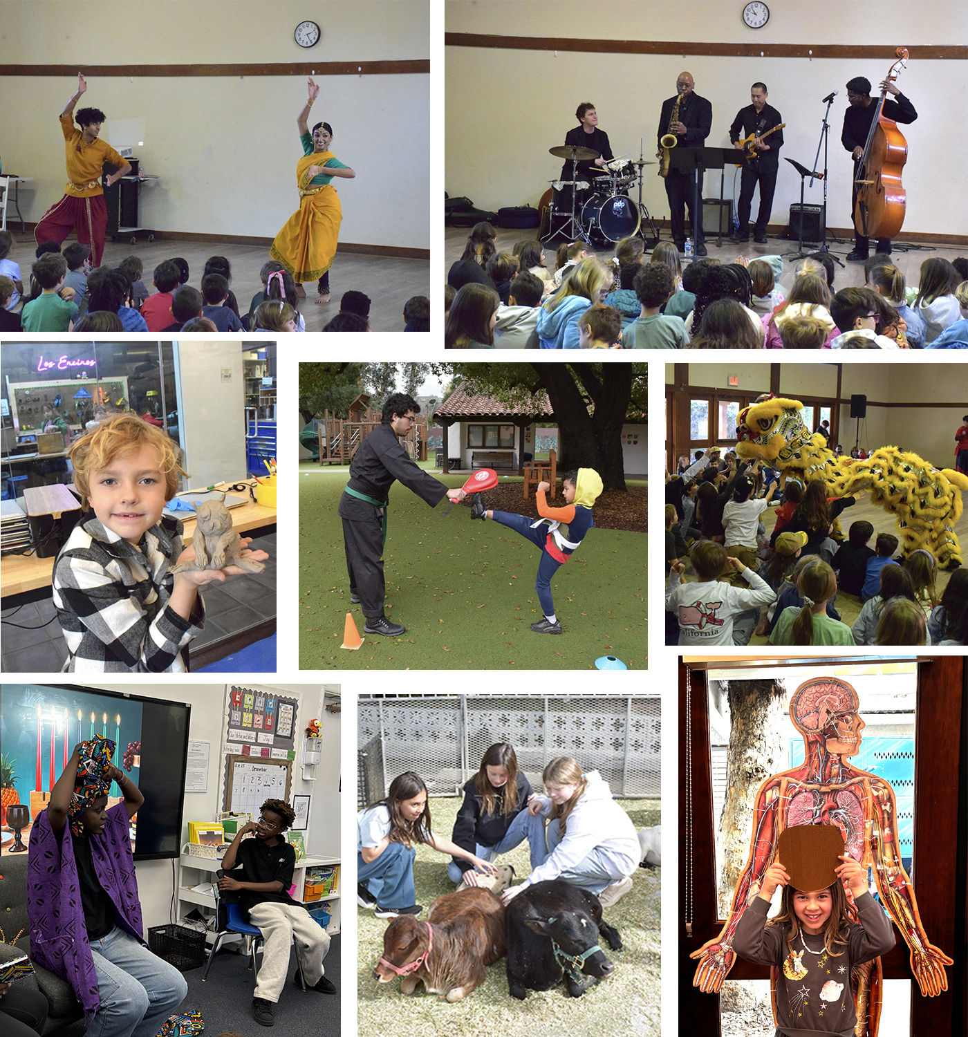 Curriculum collage 2 Curriculum collage 2